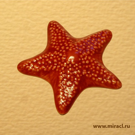 Seramik Dekor Yıldızı