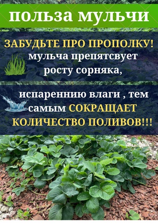 Мульча из коры сосны мелкой фракции 1-3 см