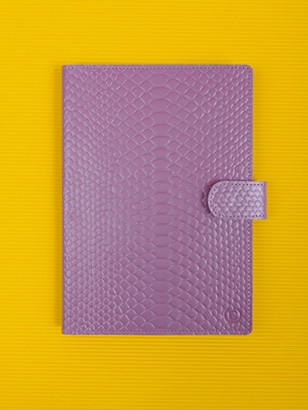 Папка органайзер для документов, семейные документы ПДТ-400