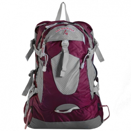 Рюкзак 2911154 Цвет: бордо