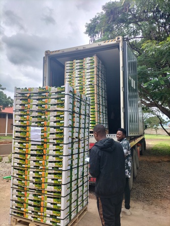 Премиум танзанийский авокадо Хасс