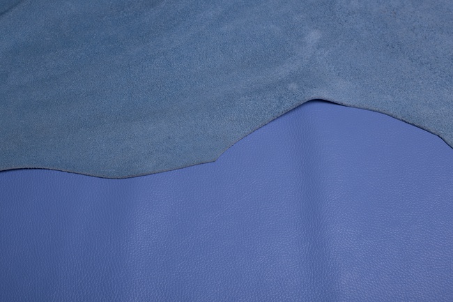 Flatör (Flotter) Mavi - Sığır