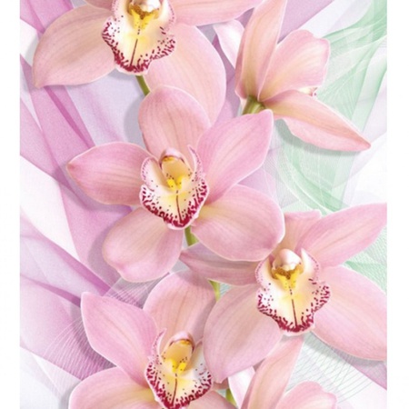 Орхидеи /4листа