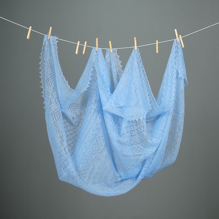 Ajur tüylü örümcek ağı A 140