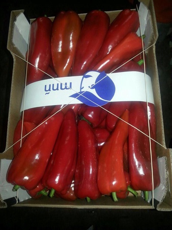 Свежие фрукты и овощи из Марокко