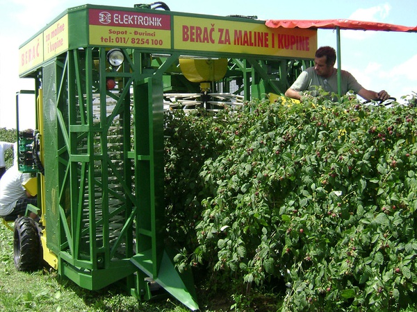 HARVESTER FOR HARVESTING RASPBERRY AND BLACKBERRY / Serbia