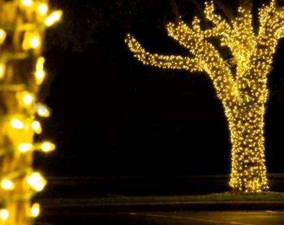 Клип-лайт светодиодный LED-LP-100M-12V-Y