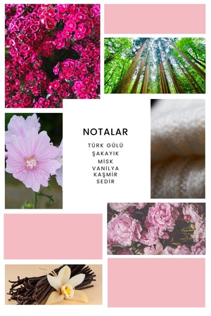 Ixora Sacre Kadın Parfüm Edp 50 ml