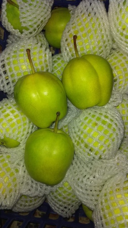 Яблоки, груши, мандарины из Китая . Прямые поставки.