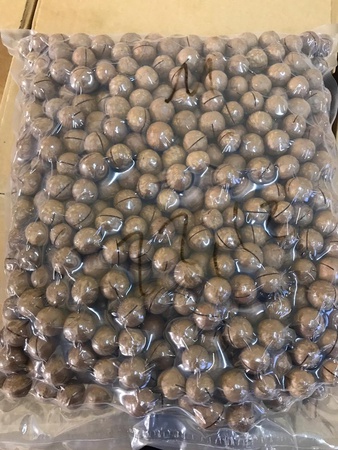 Орехи Макадамия