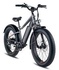RadRover™ 6 Plus Electric Fat Tire Bike edition