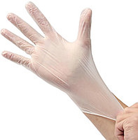 Vinyl gloves, powder-free, transparent