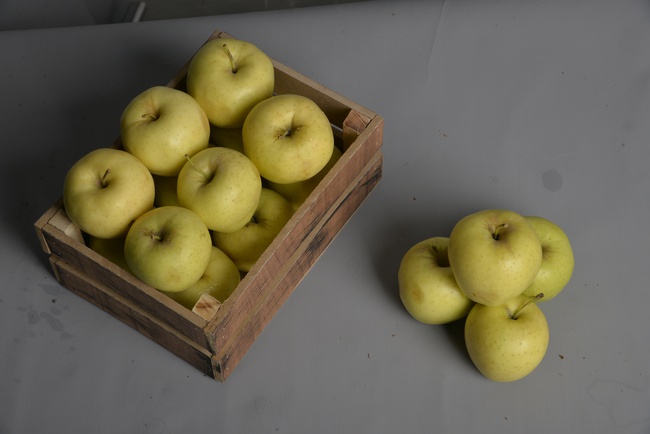 İhracat için Türkiye'den Elma