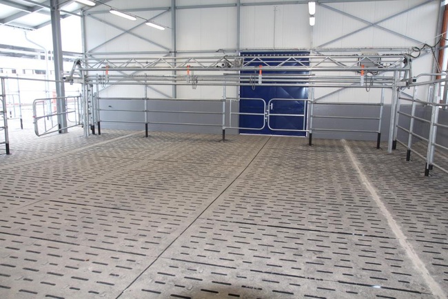 Подгонщик для коров