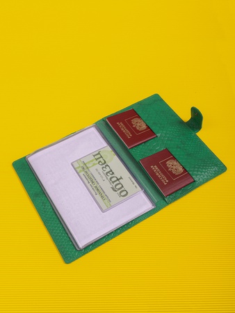 Папка органайзер для документов, семейные документы ПДТ-400