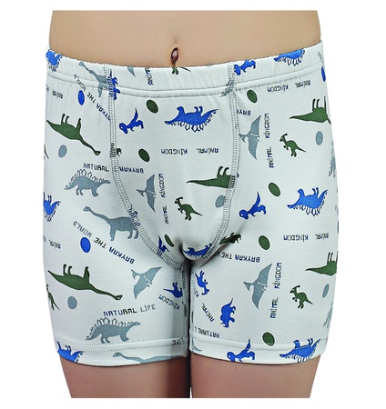 Боксеры для мальчиков. Код: 3096