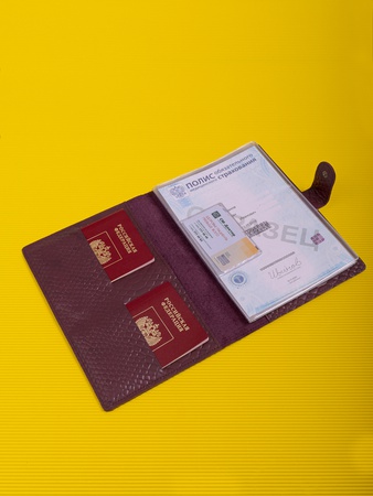 Папка органайзер для документов, семейные документы ПДТ-400