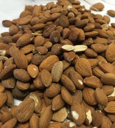 BITTER APRICOT KERNELS