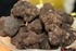 Wholesale: Truffles