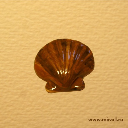 Seramik Dekor Kabuk Kabuğu