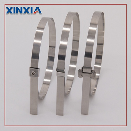 304 Naked Stainless Steel Cable Tie E Lock Type