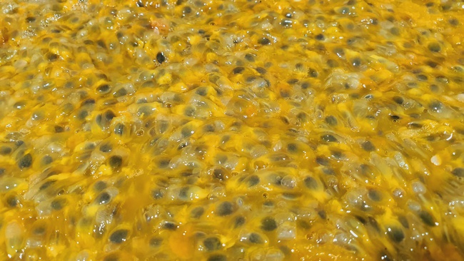 ÇARKIFELEK MEYVESİ Dondurulmuş Toptan Satış. Fabrikadan doğrudan teslimat