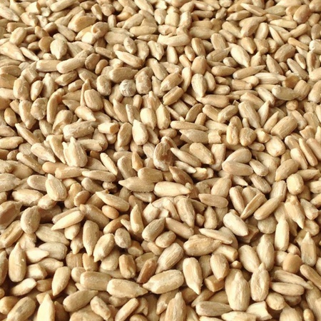 Ayçiçeği çekirdeği