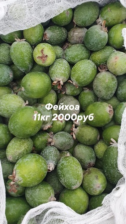 Оптом ягоды, фрукты и овощи