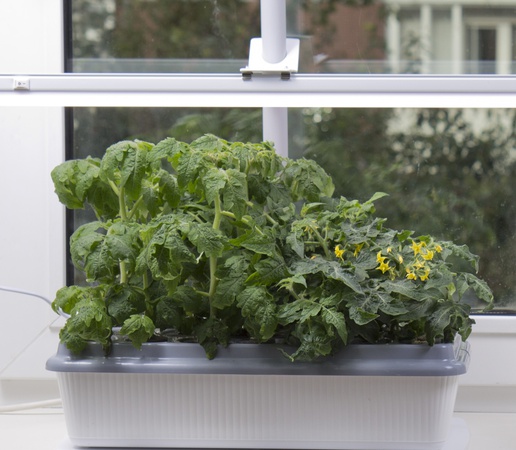 Фитосветильник «РАСТУЩИЙ светильник 9 Вт», «РАСТУЩИЙ светильник 16 Вт»