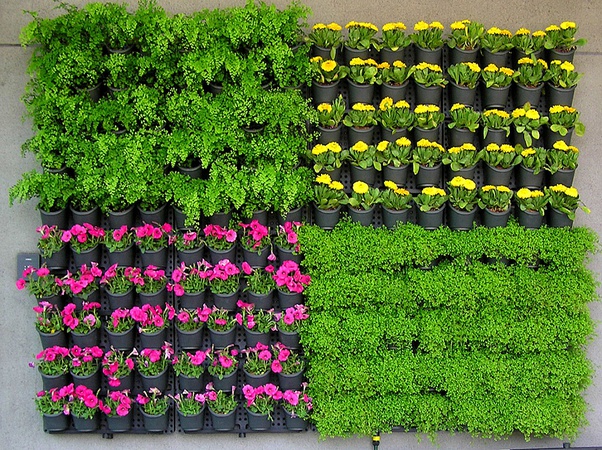 Вертикальная панель для растений "Ботанический сад