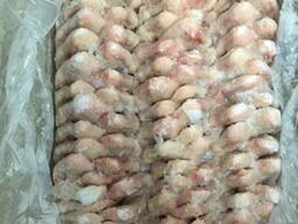 Chicken wing 3 phalanges