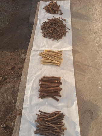 Meyan kökü/soyulmuş/kesme/dilim/preslenmiş/toz