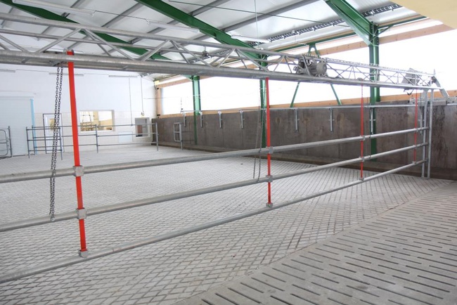 Подгонщик для коров