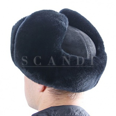 كاستور ريكس