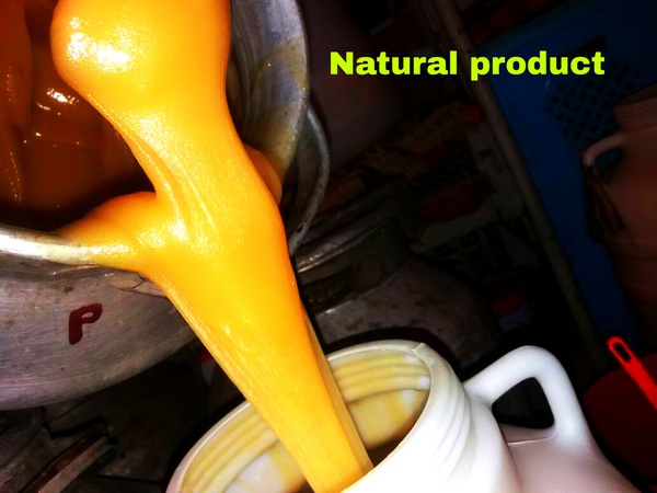 doğal bal, korunga (beyaz)