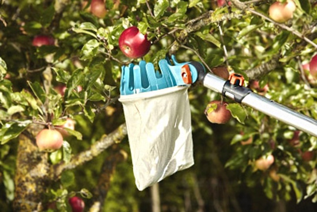 Набор "Собирай урожай"