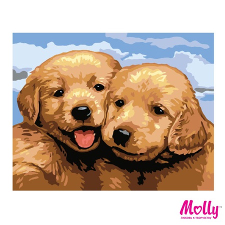 Mongrel numarasına göre boyama