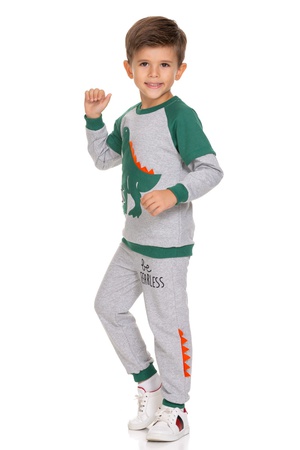 Костюм для мальчиков с вышивкой динозавров 2/9 лет, серия из 4 предметов