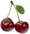 Taze kiraz