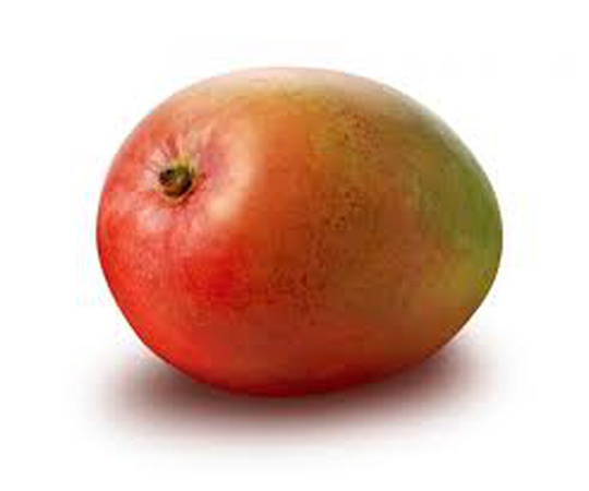 Mango çeşidi Kent, Kate (Mısır)