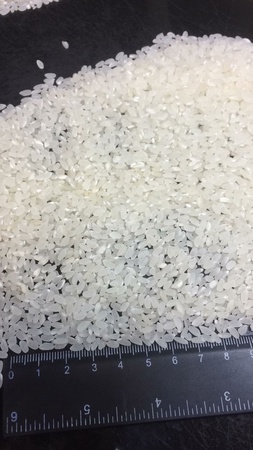 Parlatılmış pirinç