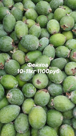 Оптом ягоды, фрукты и овощи