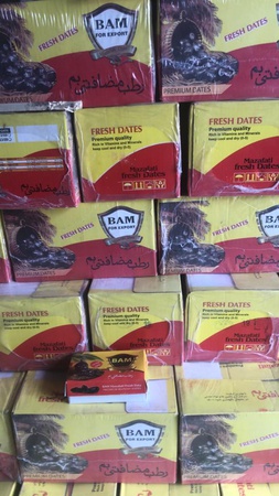 Финики иранские