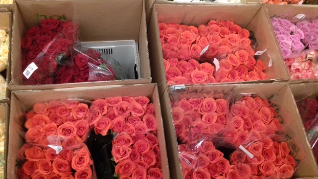 flowers in small and large wholesale large assortment