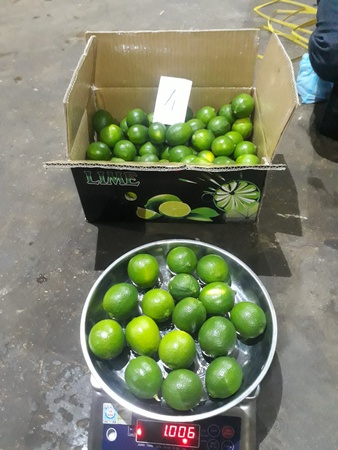 Свежий лайм без косточек из Вьетнама/свежий лайм/свежий зеленый лимон без косточек