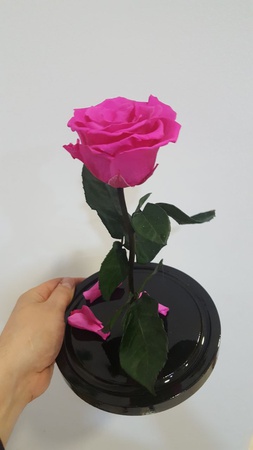 Роза в колбе 28см премиум малиновый