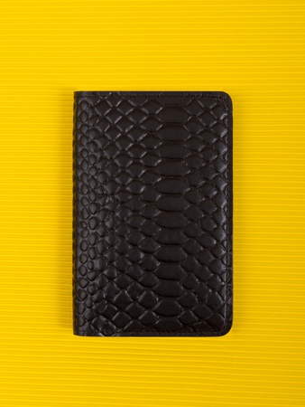 Обложка на паспорт ПТ-51