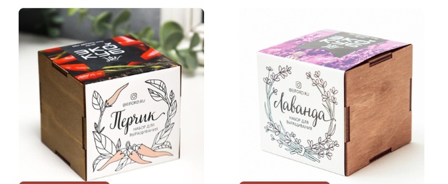 Ferienhaus und Garten. Kits für den Anbau von P & P zu Hause und für die weitere Transplantation Wir akzeptieren Bestellungen ab 1 Stk.