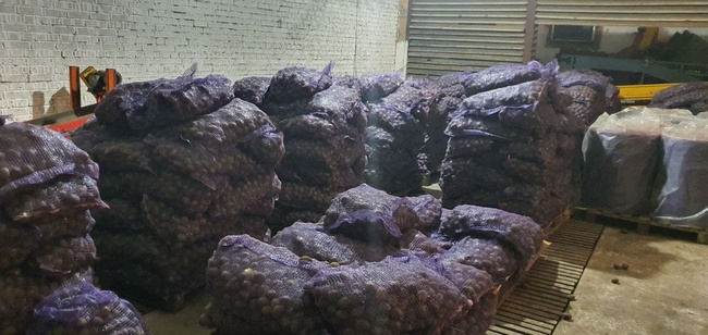 В продаже появился семенной картофель