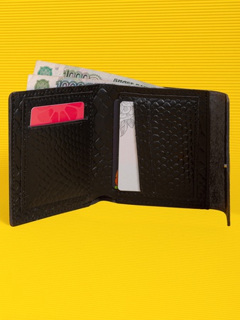 Кошелек Мини Воллет МВТ-505+